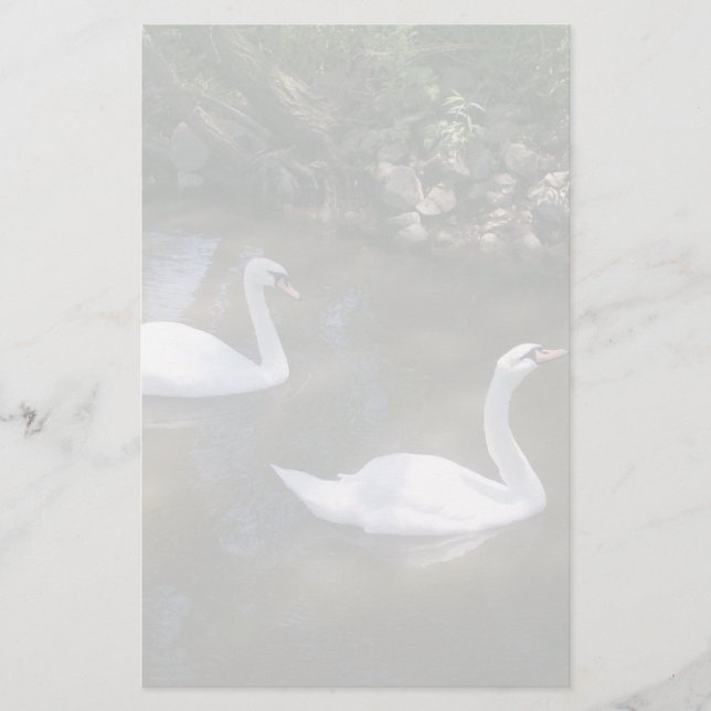 Papeterie Curieux Swans (Devant)