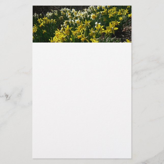 Papeterie Daffodiles jaunes et blancs Fleurs de printemps (Devant)