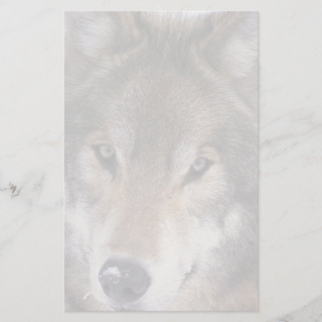 Papeterie de regard fixe de loup (Devant)