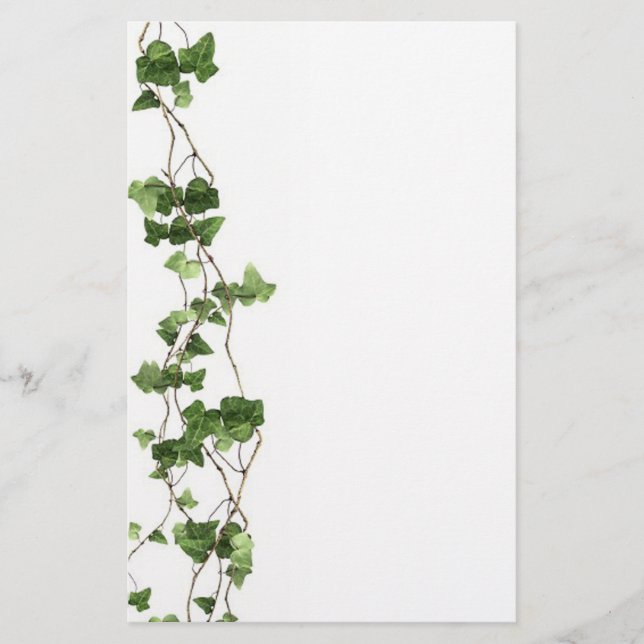 Papeterie de vigne (Devant)