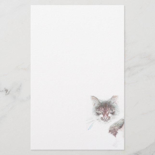 Papeterie Dessin d'un visage de chat mignon en colère (Devant)