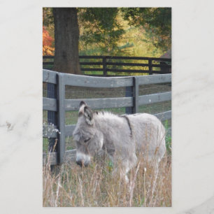 Papeterie Donkey dans un champ d'automne