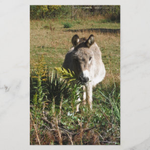 Papeterie Donkey picking yellow Autumn