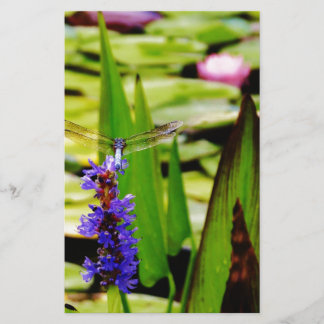 Papeterie Dragonfly lotus and purple flower