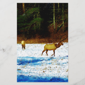 PAPETERIE DSC00131.JPG