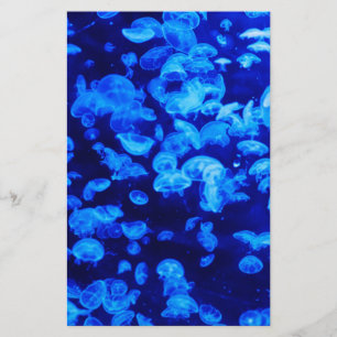 Papeterie Écran de méduse