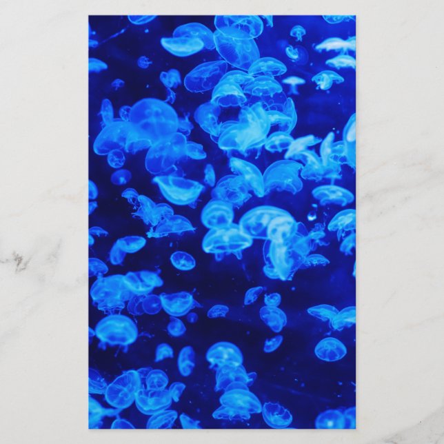 Papeterie Écran de méduse (Devant)