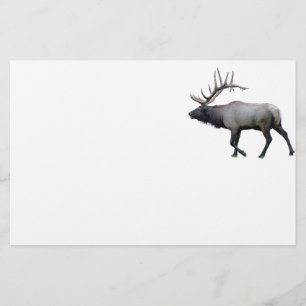 Papeterie Élans de wapiti de saule