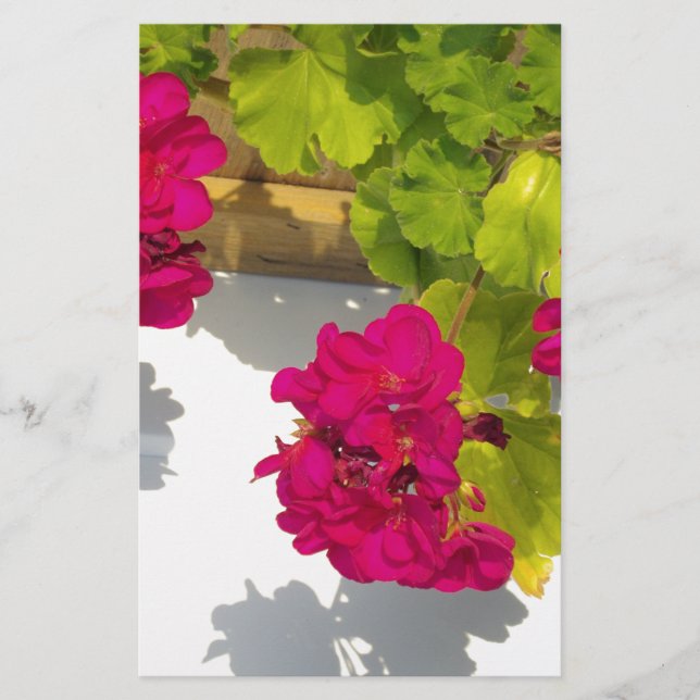 Papeterie Élégant rose magenta rouge fleurs florales (Devant)