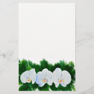 Papeterie Elégante peinture d'orchidée tropicale blanche