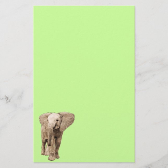 Papeterie Éléphant mignon de bébé (Devant)