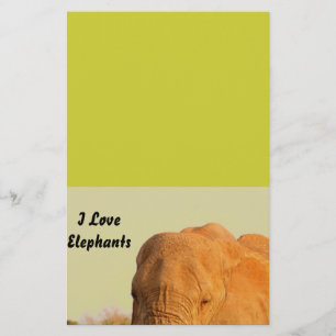 Papeterie Éléphants
