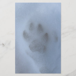Papeterie Empreinte de patte de loup gris sauvage en neige h