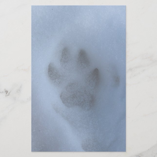 Papeterie Empreinte de patte de loup gris sauvage en neige h (Devant)
