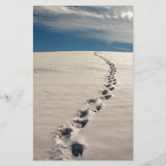 Papeterie Empreintes dans le sable