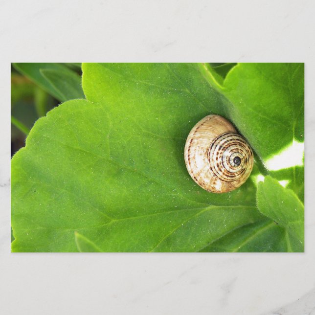 Papeterie escargot (Devant)