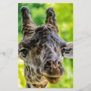 Papeterie Eyelashes de Girafe