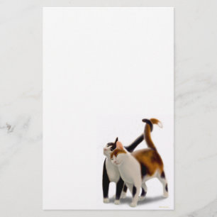 Papeterie féline de chat d'amis