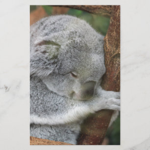 Papeterie Fête au bureau mignonne de douche d'ours de koala
