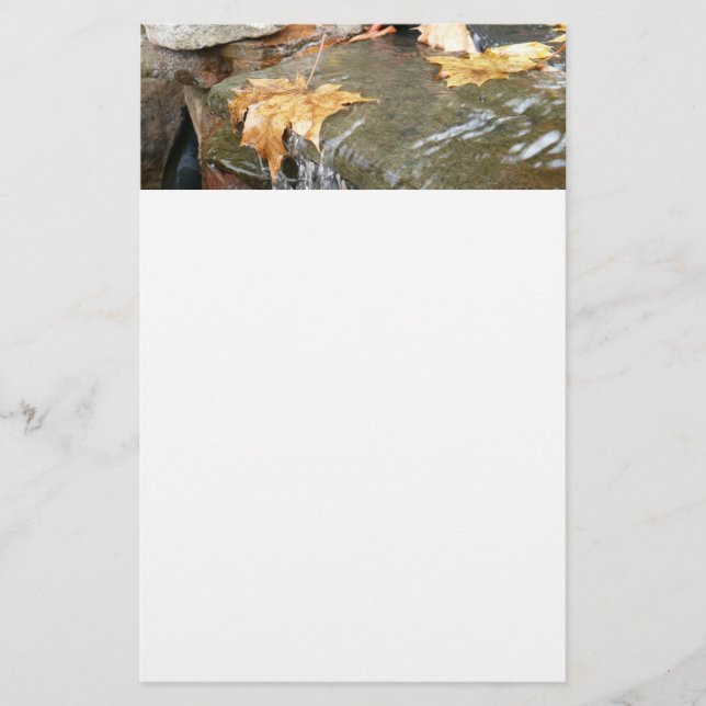 Papeterie Feuilles d'automne dans la cascade II Photographie (Devant)