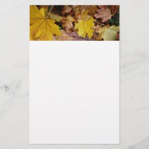 Papeterie Feuilles de Érable Tombées Jaune Automne Nature