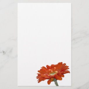 Papeterie Fleur de Gerbera de marguerite orange