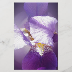Papeterie fleur d'iris pourpre