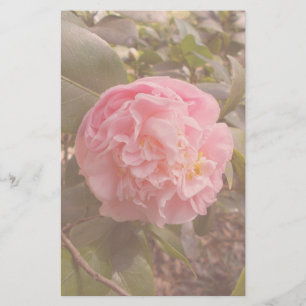 Papeterie Fleur rose