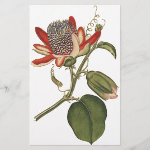Papeterie Fleur vintage Passion