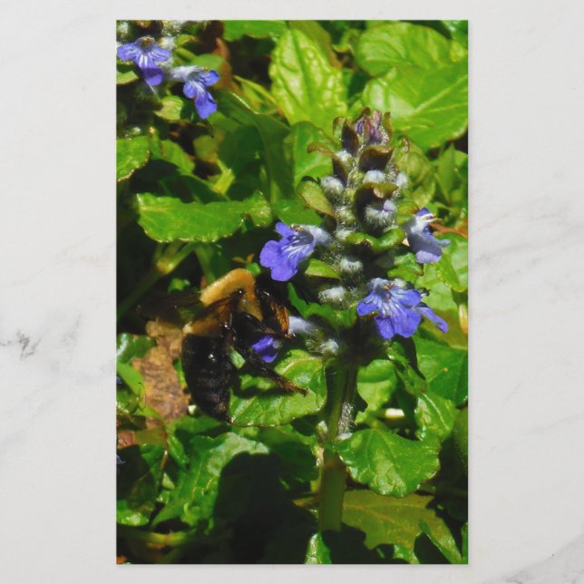 Papeterie Fleur violette et abeille boursouflante (Devant)