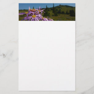 Papeterie Fleurs d'aster violettes au mont Rainier