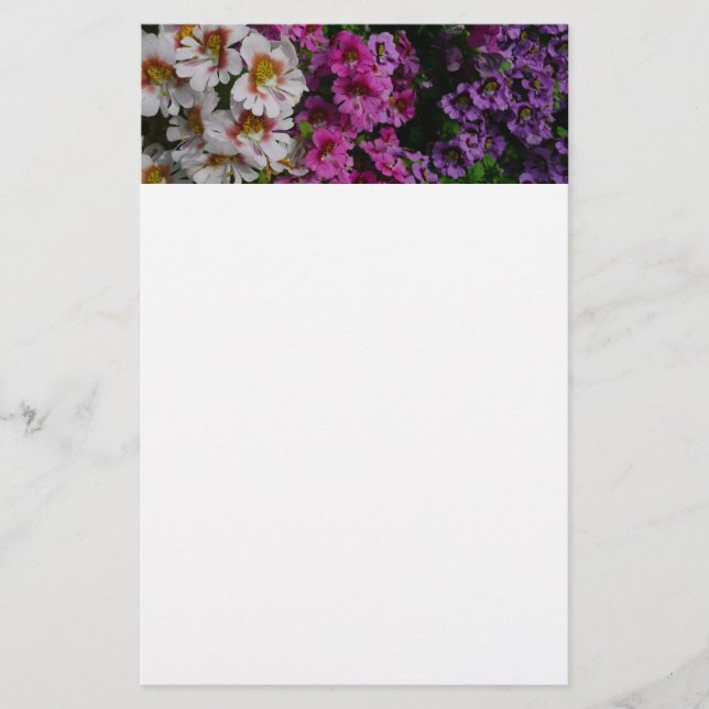 Papeterie Fleurs papillon rose blanc et violet (Devant)