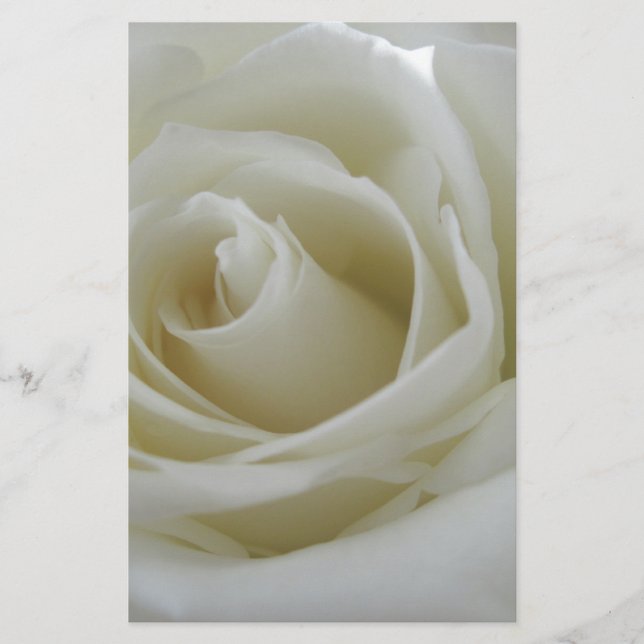 Papeterie Flore (Devant)