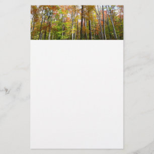 Papeterie Forêt d'automne I Photographie de paysage automnal