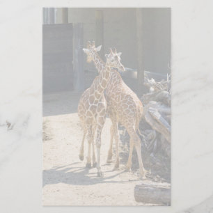 Papeterie girafe stationnaire