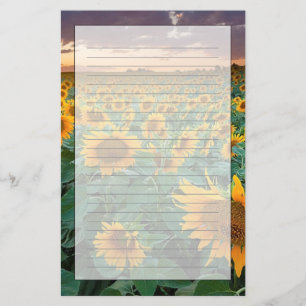 Papeterie Gisement de tournesol dans Longmont, le Colorado