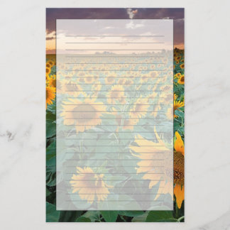 Papeterie Gisement de tournesol dans Longmont, le Colorado