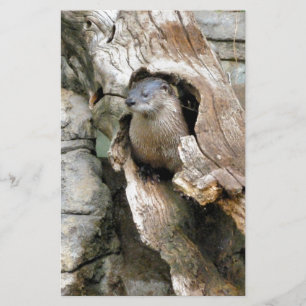 Papeterie Harry Otter