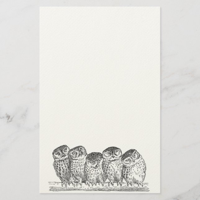 Papeterie Hibou vintage stationnaire (Devant)