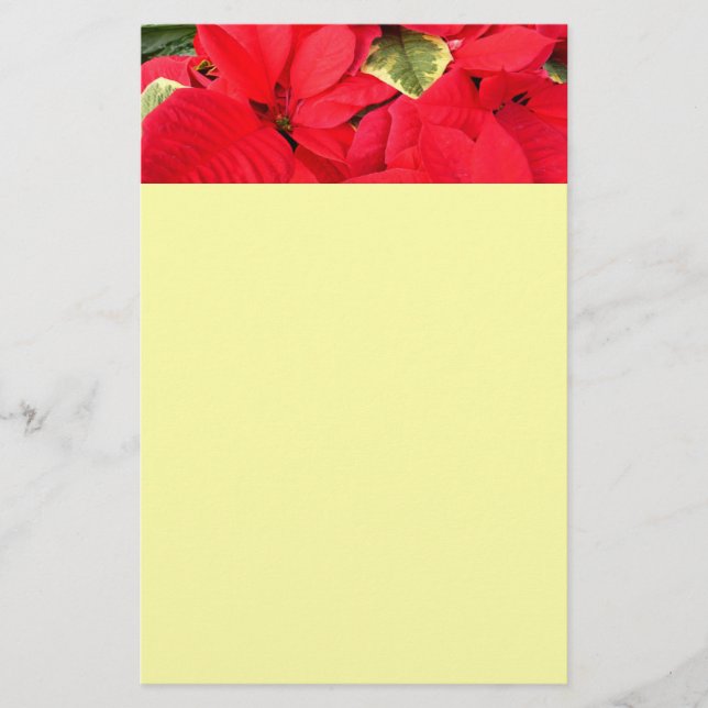 Papeterie Holly Point Poinsettias vacances Floral (Devant)
