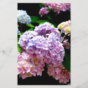 Papeterie Hydrangea jardin rose floral bleu violet fleuri
