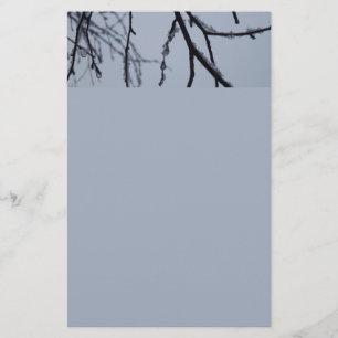 Papeterie Icy Branches Winter Nature Photographie