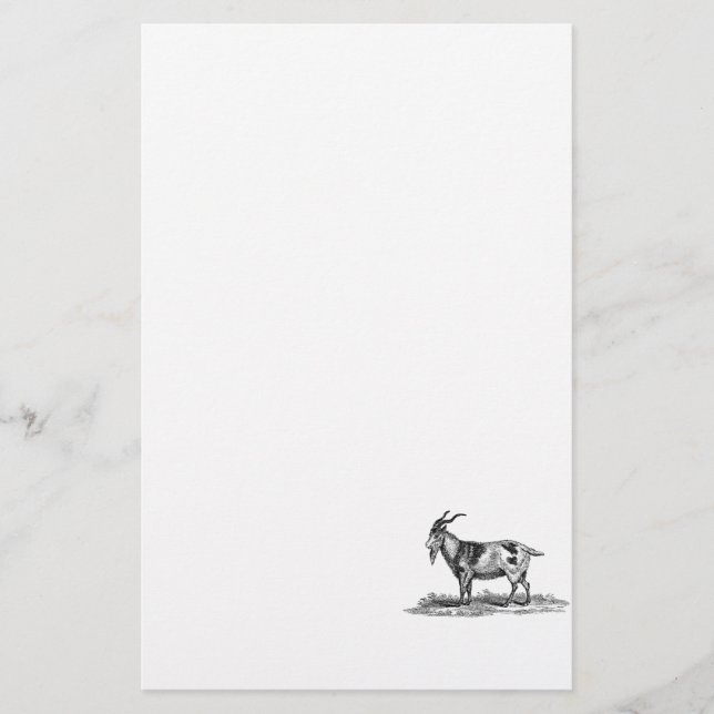 Papeterie Illustration vintage de chèvre domestique - (Devant)