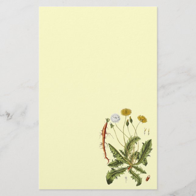 Papeterie Illustration vintage du Dandelion (Devant)