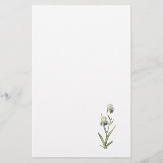 Papeterie iris Aîné-parfumé (sambucina d'iris) par Redouté (Devant)