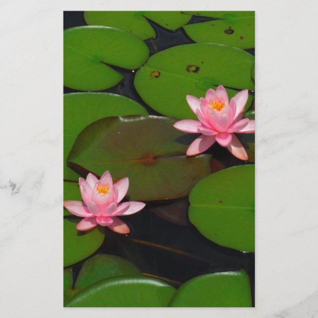 Papeterie Jardin de fleurs de laine d'eau de lotus rose, (Devant)