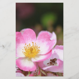 Papeterie joli rose fleur rose sauvage pour dames