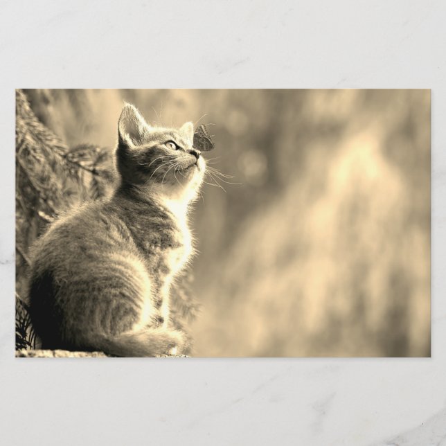 Papeterie Kitten avec ami papillon (Devant)