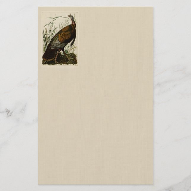 Papeterie La Turquie sauvage par John Audubon (Devant)