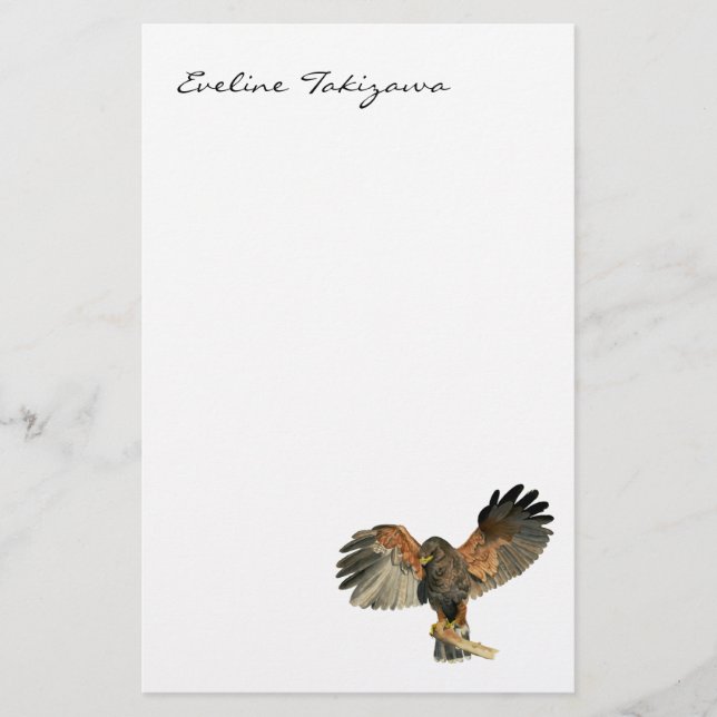 Papeterie Le battement de faucon s'envole la peinture (Devant)